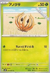 画像: 【C】アノクサ
