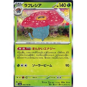 画像: 【R】ラフレシア