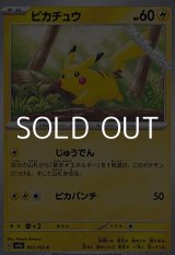 画像: 【C】ピカチュウ