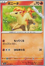 画像: 【C】ポニータ