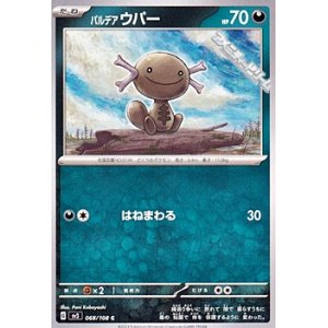 画像: 【C】パルデア ウパー