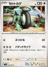 画像: 【U】モトトカゲ