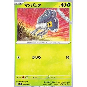 画像: 【C】マメバッタ
