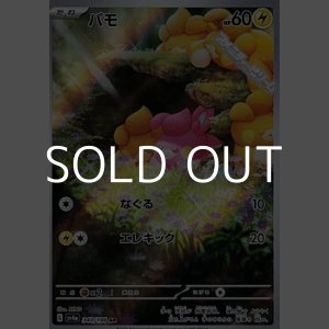 画像: 【AR】パモ