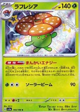 画像: 【S】ラフレシア
