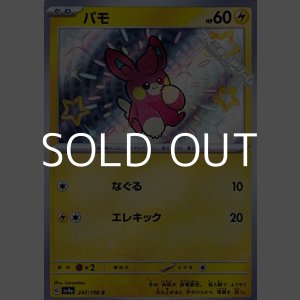 画像: 【S】パモ