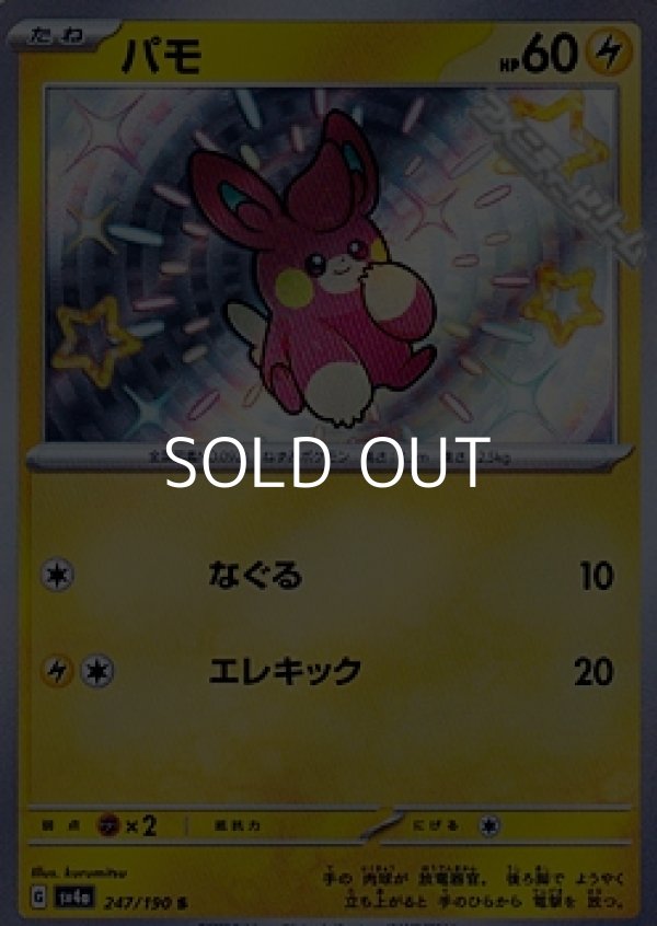 画像1: 【S】パモ (1)