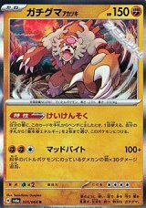 画像: 【R】ガチグマ アカツキ