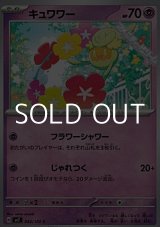 画像: 【C】キュワワー
