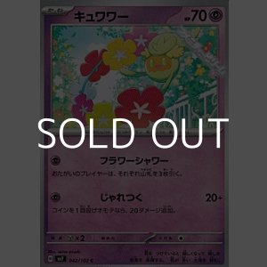 画像: 【C】キュワワー