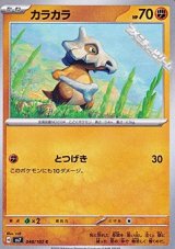 画像: 【C】カラカラ