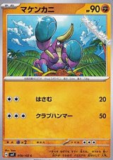 画像: 【C】マケンカニ