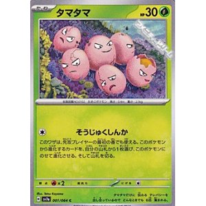 画像: 【C】タマタマ