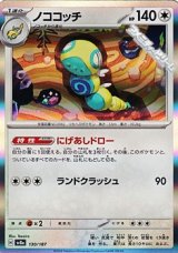 画像: 【キラ】ノココッチ