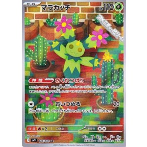 画像: 【AR】マラカッチ