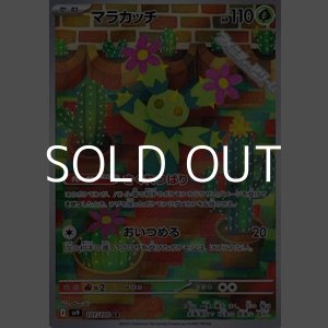 画像: 【AR】マラカッチ