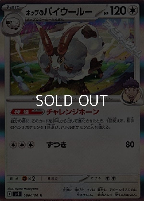 画像1: 【R】ホップのバイウールー (1)