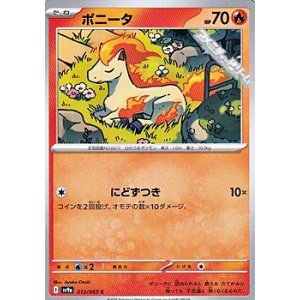 画像: 【C】ポニータ