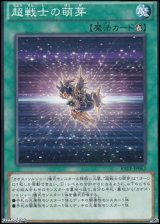 画像: 【ノーマル】超戦士の萌芽