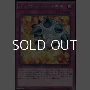 画像: 【ノーマル】ブレイクスルー・スキル