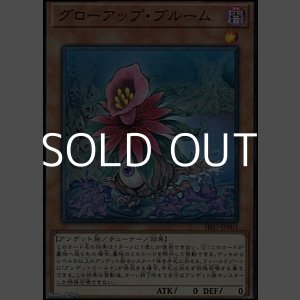 画像: 【スーパーレア】グローアップ・ブルーム