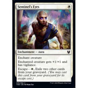 画像: 【英語】歩哨の目/Sentinel's Eyes
