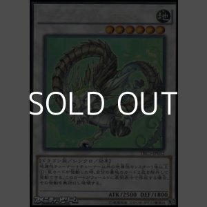 画像: 【コレクターズレア】ナチュル・パルキオン