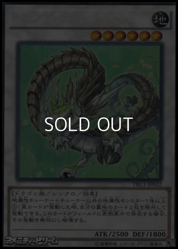 画像1: 【コレクターズレア】ナチュル・パルキオン (1)