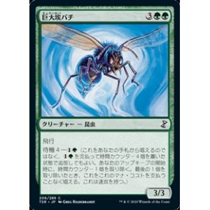 画像: 【日本語】巨大埃バチ/Giant Dustwasp