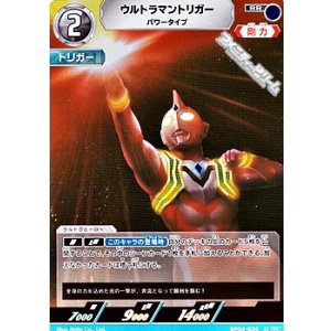 画像: 【RR】ウルトラマントリガー パワータイプ (034)
