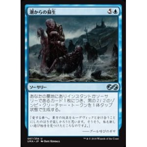画像: 【日本語】潮からの蘇生/Rise from the Tides