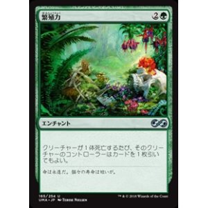 画像: 【日本語】繁殖力/Fecundity
