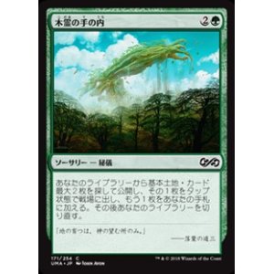 画像: 【日本語】木霊の手の内/Kodama's Reach