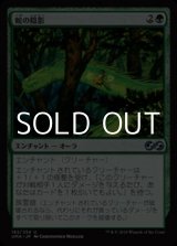 画像: 【日本語】蛇の陰影/Snake Umbra