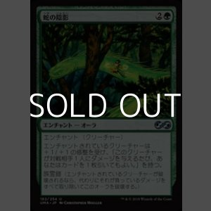 画像: 【日本語】蛇の陰影/Snake Umbra