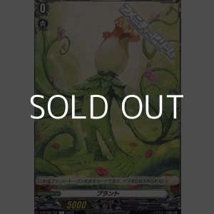 画像: 【T】プラント