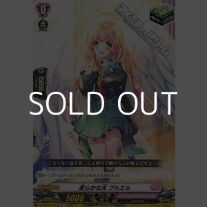 画像: 【C】柔らかな光 プルエル