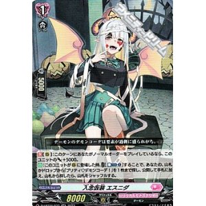 画像: 【RR】入念仮装 エスニダ