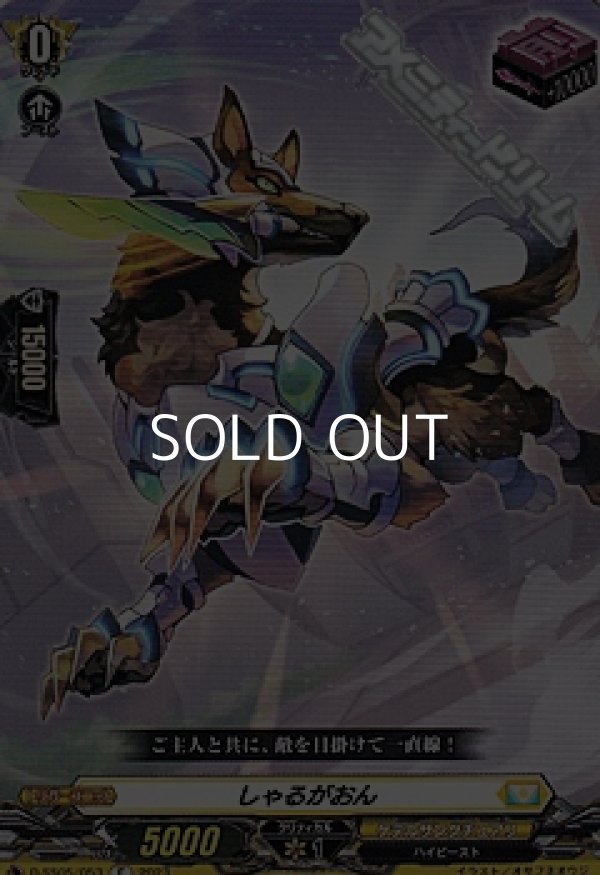 画像1: 【C】しゃるがおん (1)