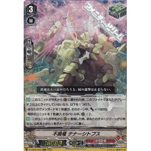 画像: 【RRR】不撓竜 テナーシトプス