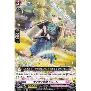 画像: 【C】すくすく花壇 セリーン