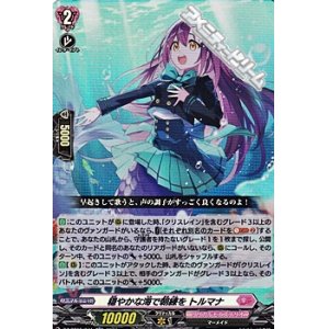 画像: 【RR】穏やかな海で朝練を トルマナ