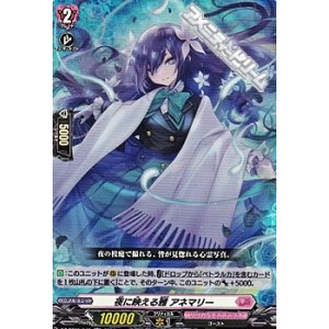 画像: 【RR】夜に映える雅 アネマリー