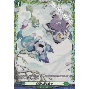 画像: 【FR】白銀に茂る森で