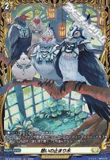 画像: 【FR】憩いの止まり木