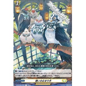 画像: 【R】憩いの止まり木