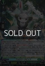 画像: 【RR】フォロワーラビッツ