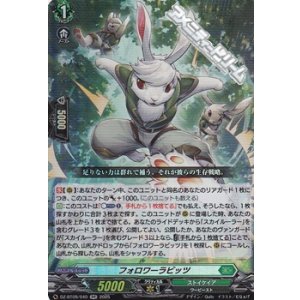 画像: 【RR】フォロワーラビッツ
