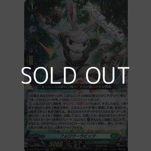 画像: 【RR】フォロワーラビッツ