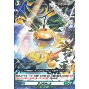 画像: 【R】黄金陽光の実